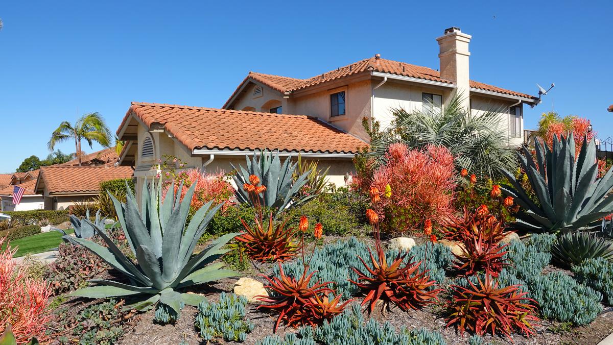 Dry Climate Landscaping Solutions