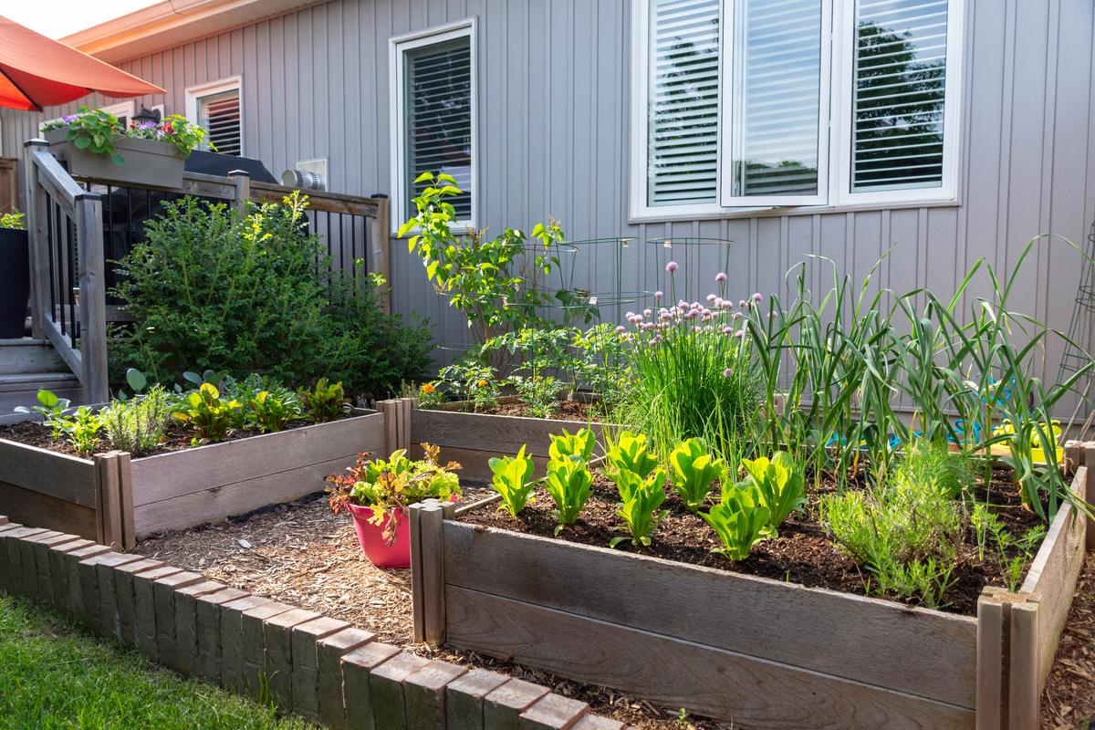 Garden Beds, The Perfect Summer DIY Project