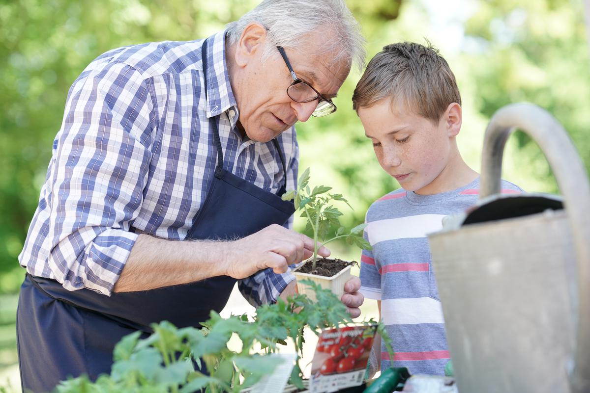 gardening with grandpa