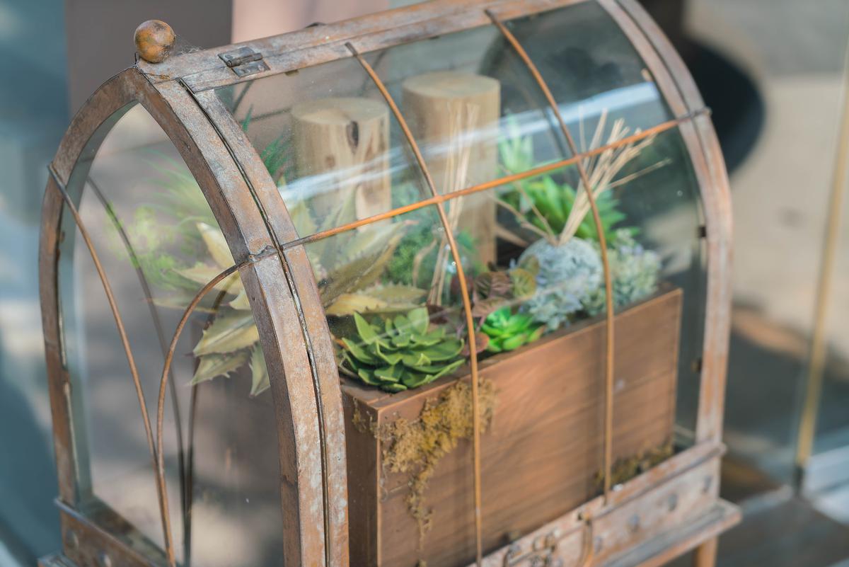 Greenhouse Ideas for Any Size and Space