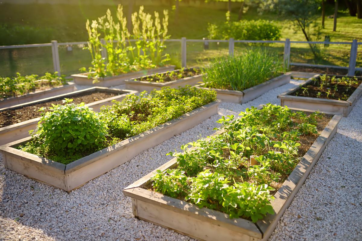 Home Garden Design Ideas for Inspiration