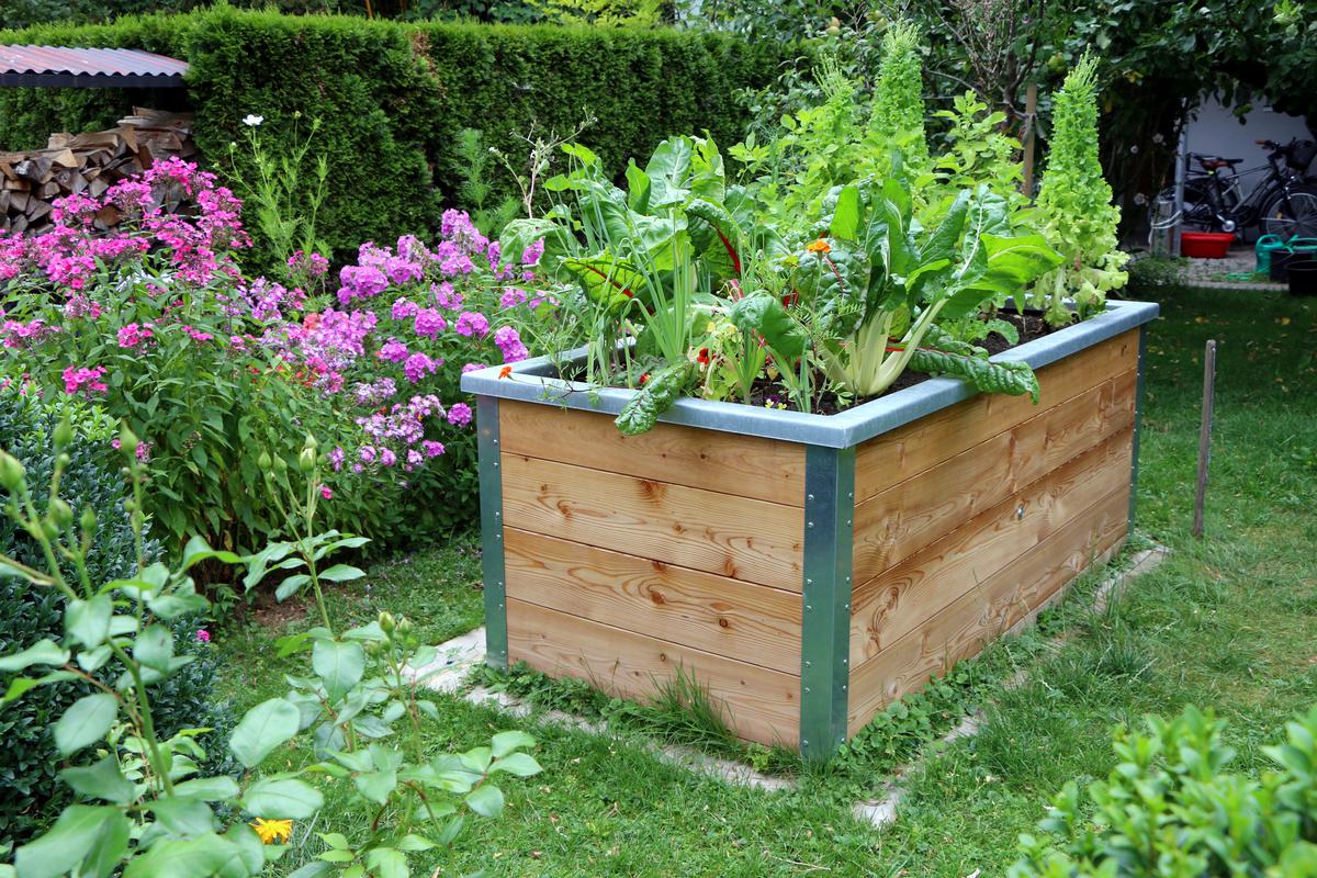 How to Build a Raised Garden Bed