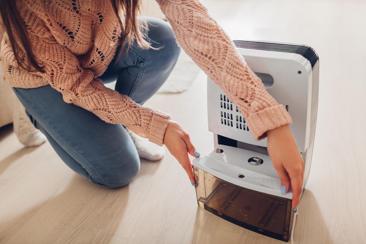 Maintaining a humidifier is essential, so it doesn't harbor bacteria and mold.