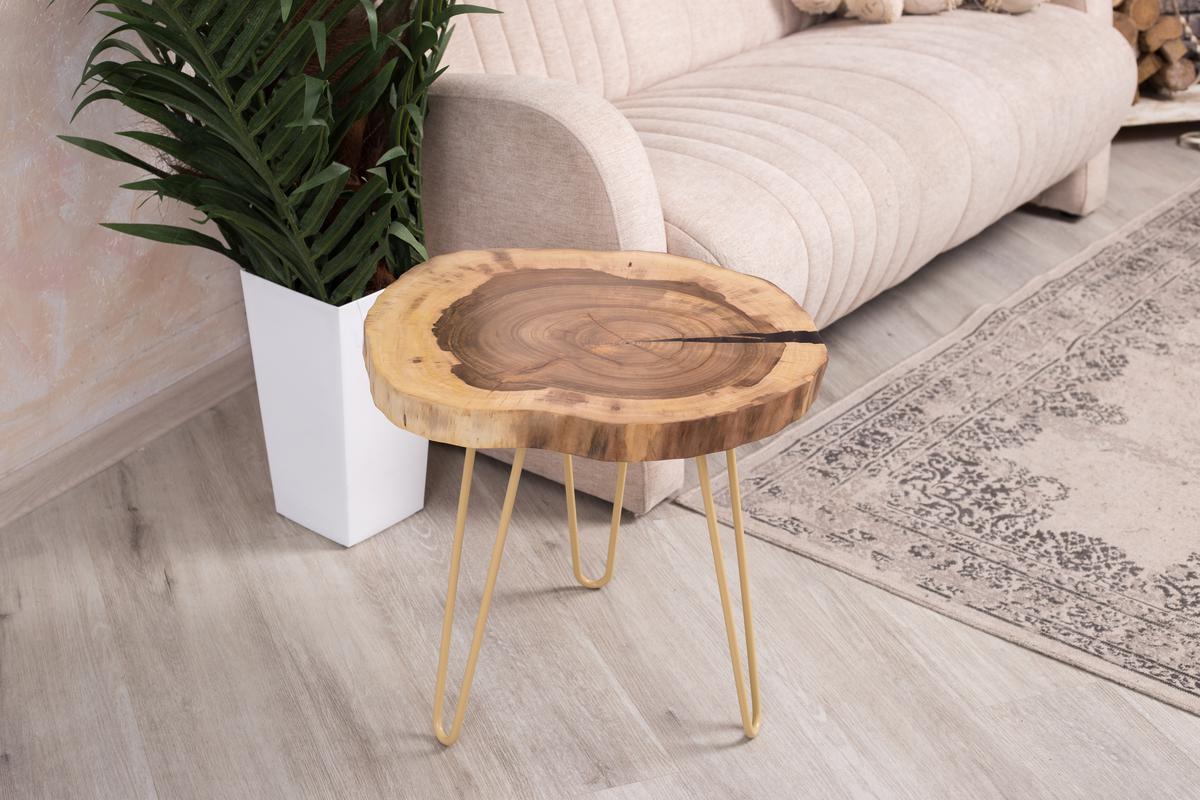 How to Implement Biophilia in Your Decor Choices