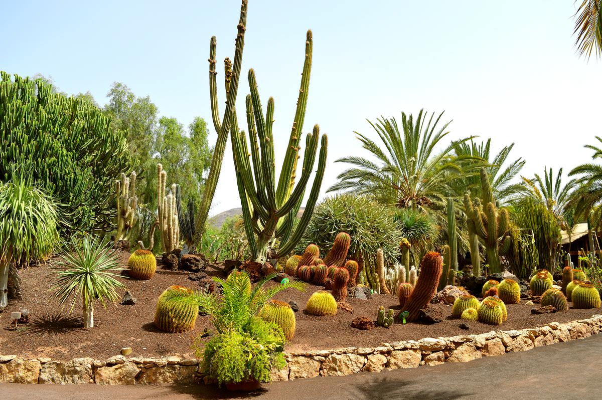 How Your Microclimate Should Effect Your Landscaping Choices