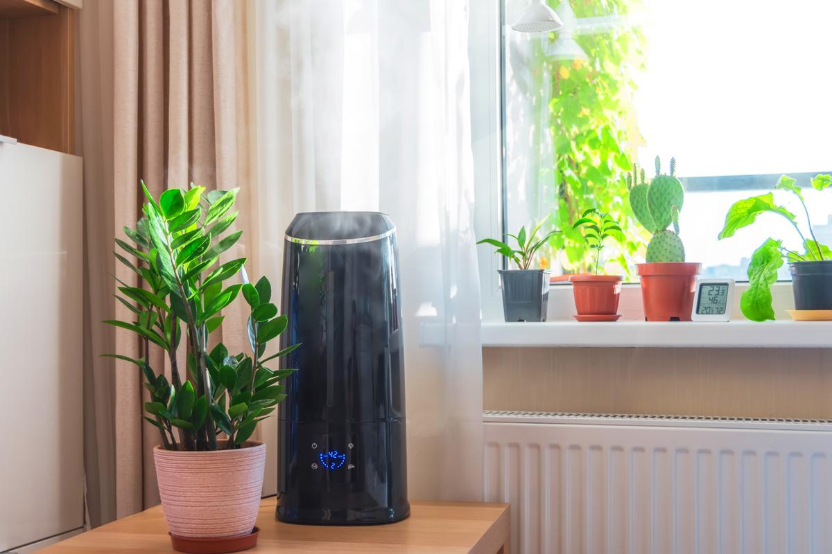A humidifier can keep your plants healthy.