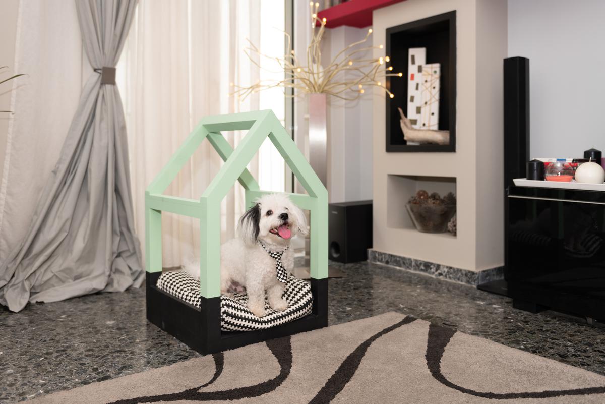 Indoor Doghouse Ideas that Are Too Cute Not to Make