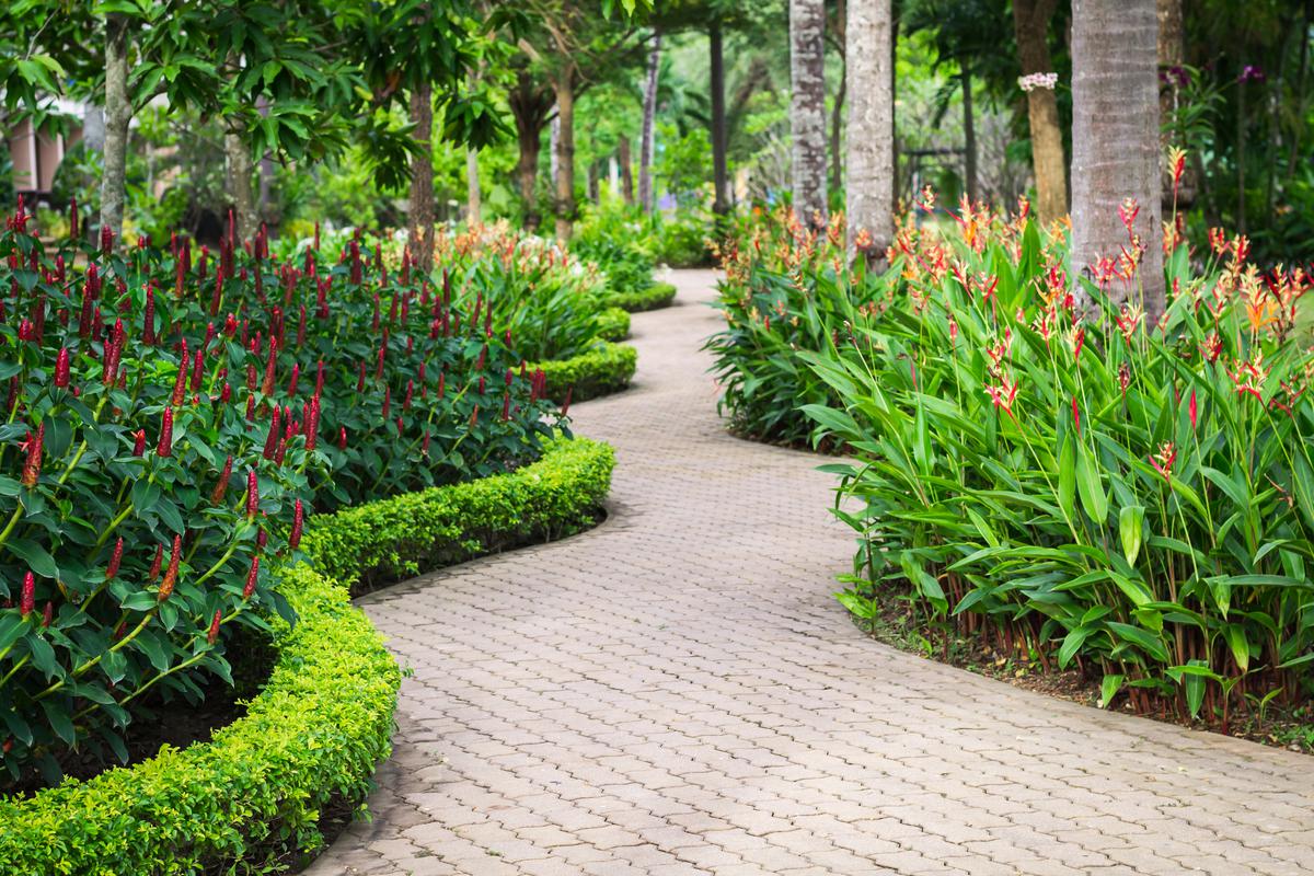 Landscaping Based On Your Microclimate