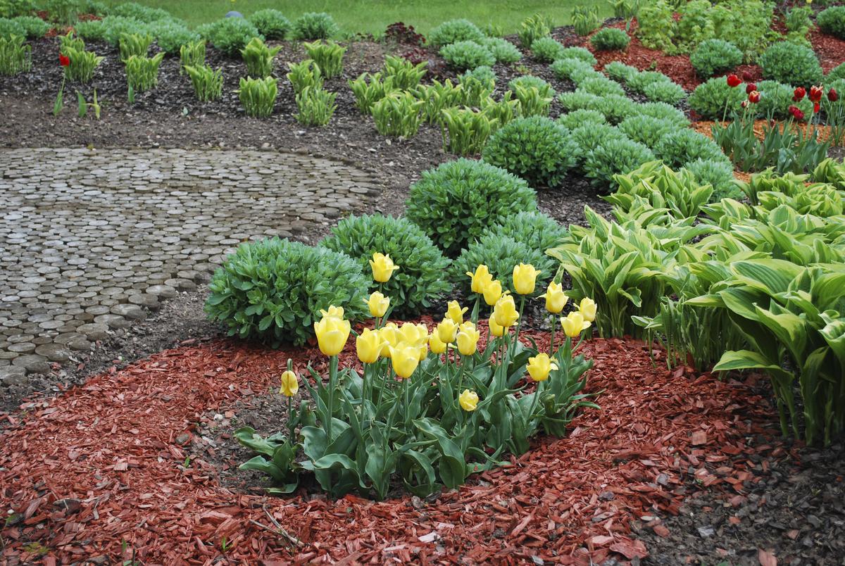 Landscaping In Colder Climate Cities