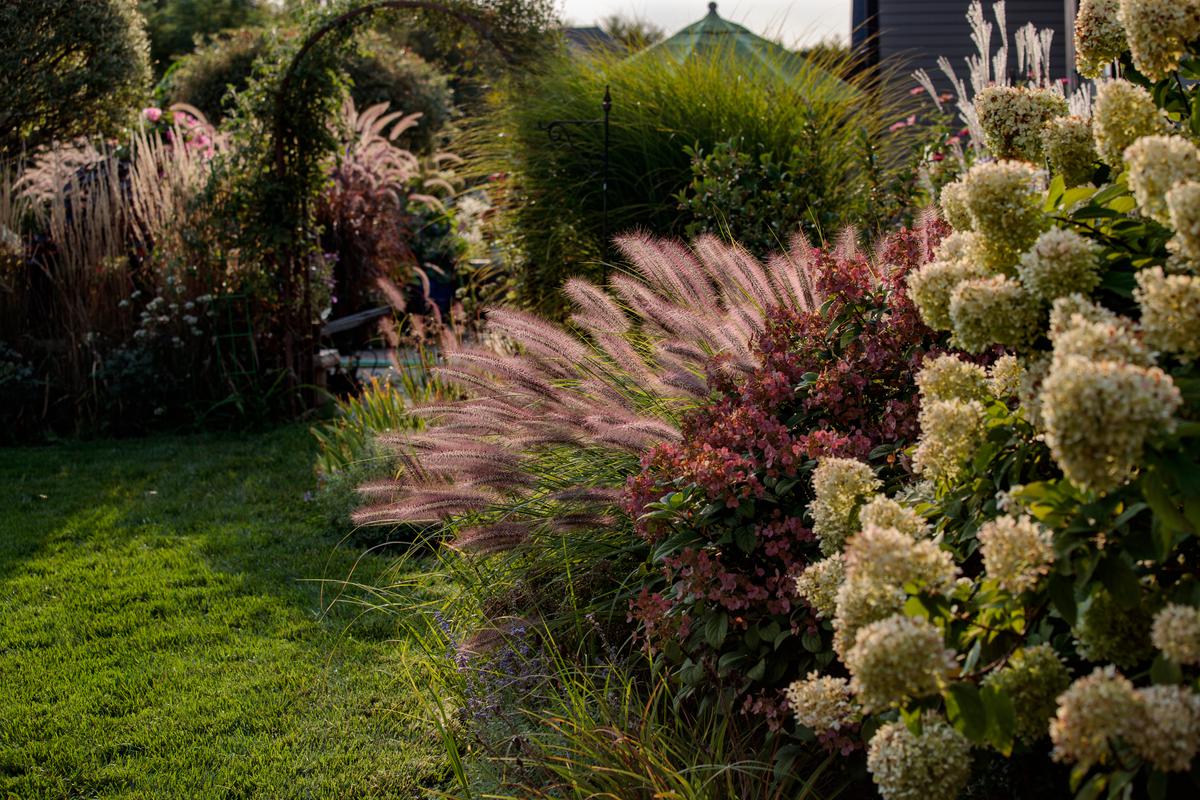 Landscaping Solutions for Windy Climates