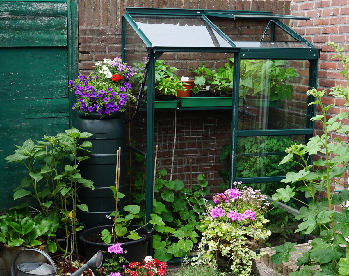 Mini Greenhouse Ideas