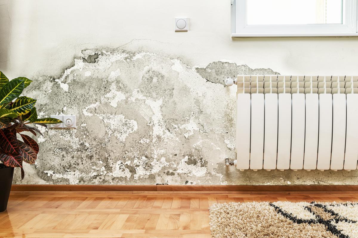 Mold and Moisture Can Lead to More Serious Problems