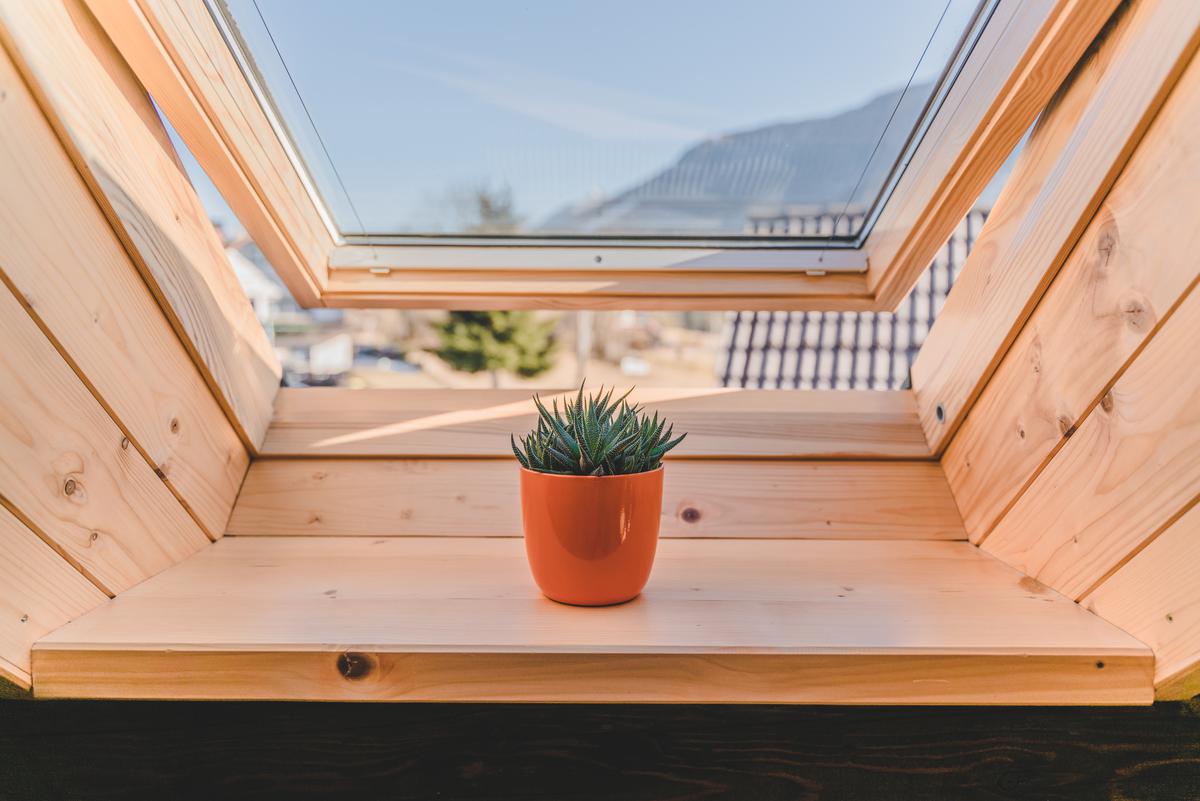 More than One Green Reason to Have a Sylight