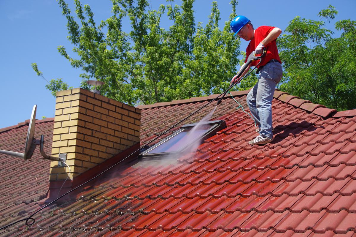 Moss Can Grow On Your Roof and Cause Problems