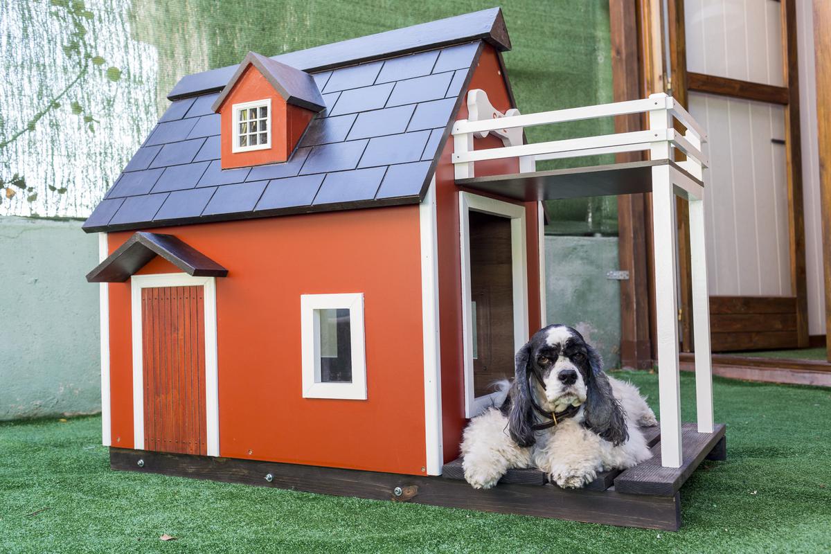 Picking a Theme for Your Classy DIY Doghouse
