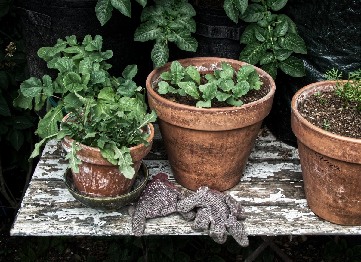 Places In Your Home to Check For Lead Paint