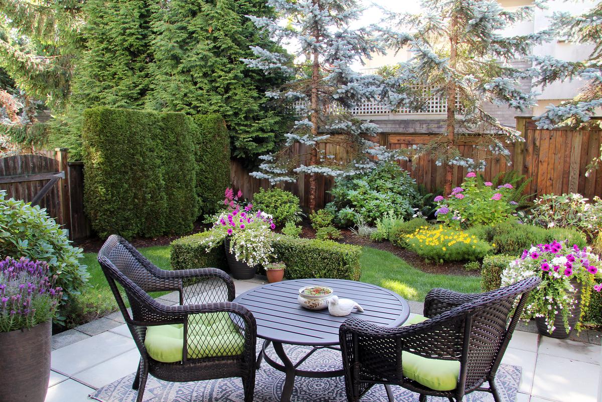 Plants That Work Well In Windy Zones