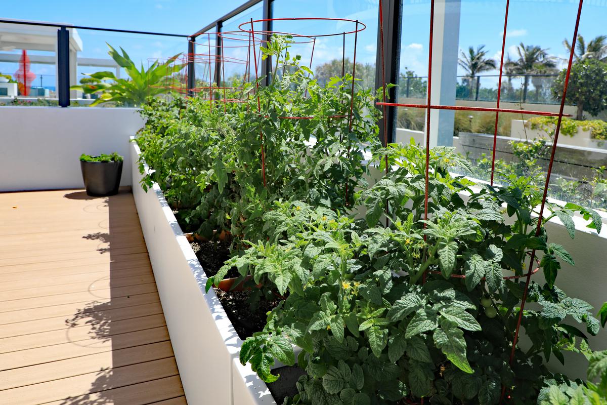 Raised Planter Garden for Limited Space