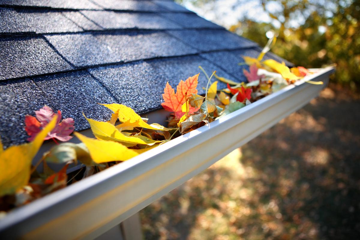 Roof Maintenance 101
