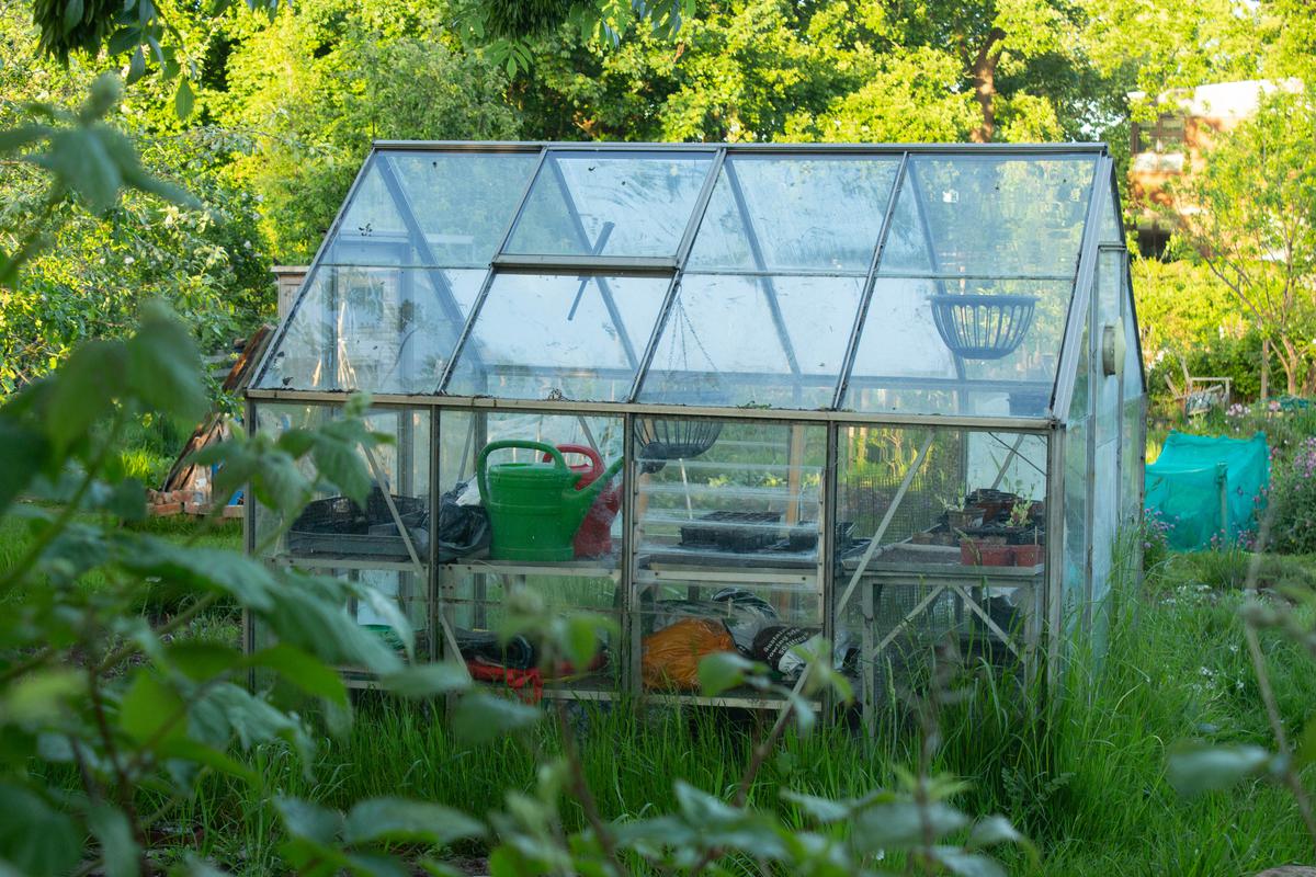 Shed Transformation Ideas