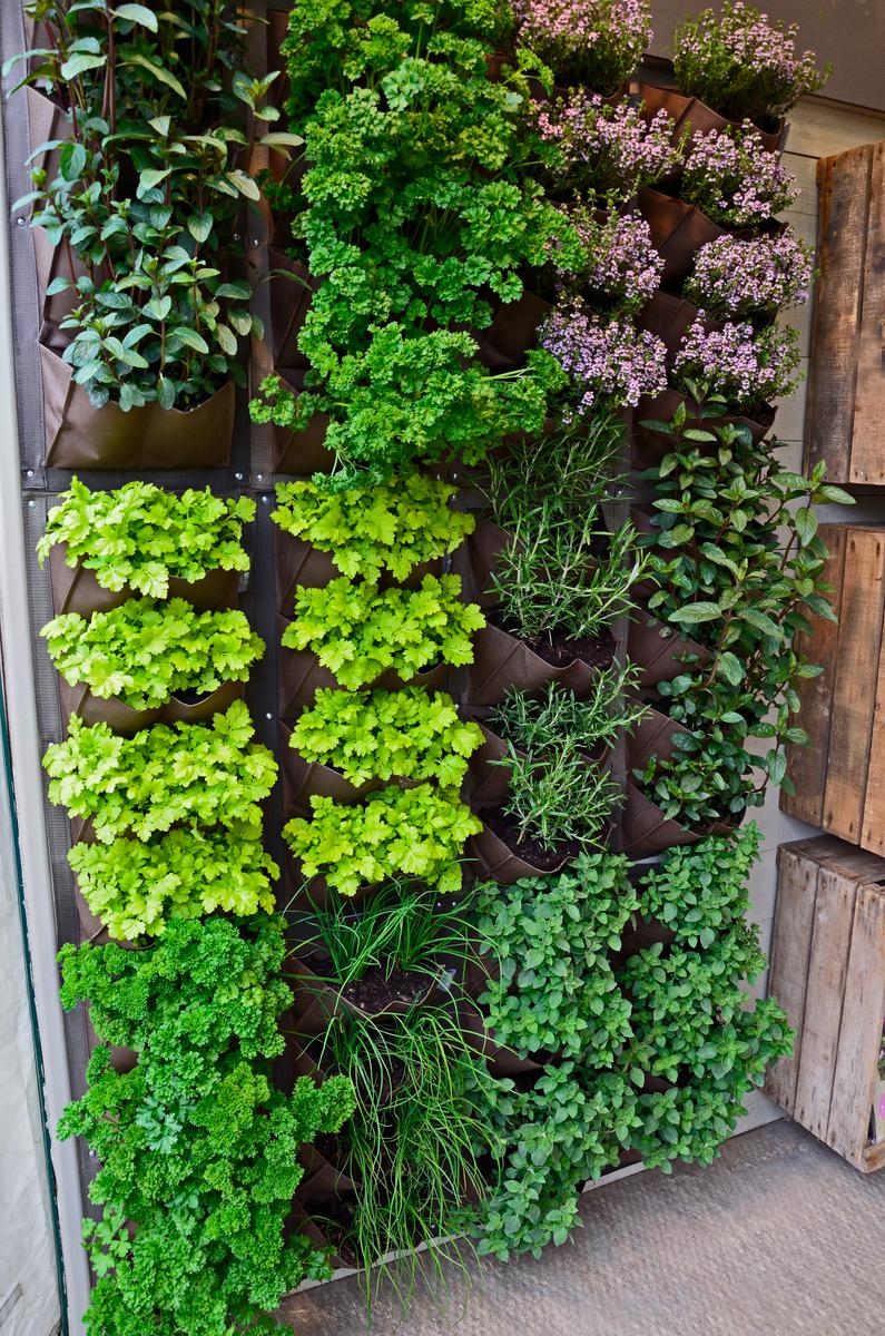 Everything You'll Need to Build an Indoor Garden
