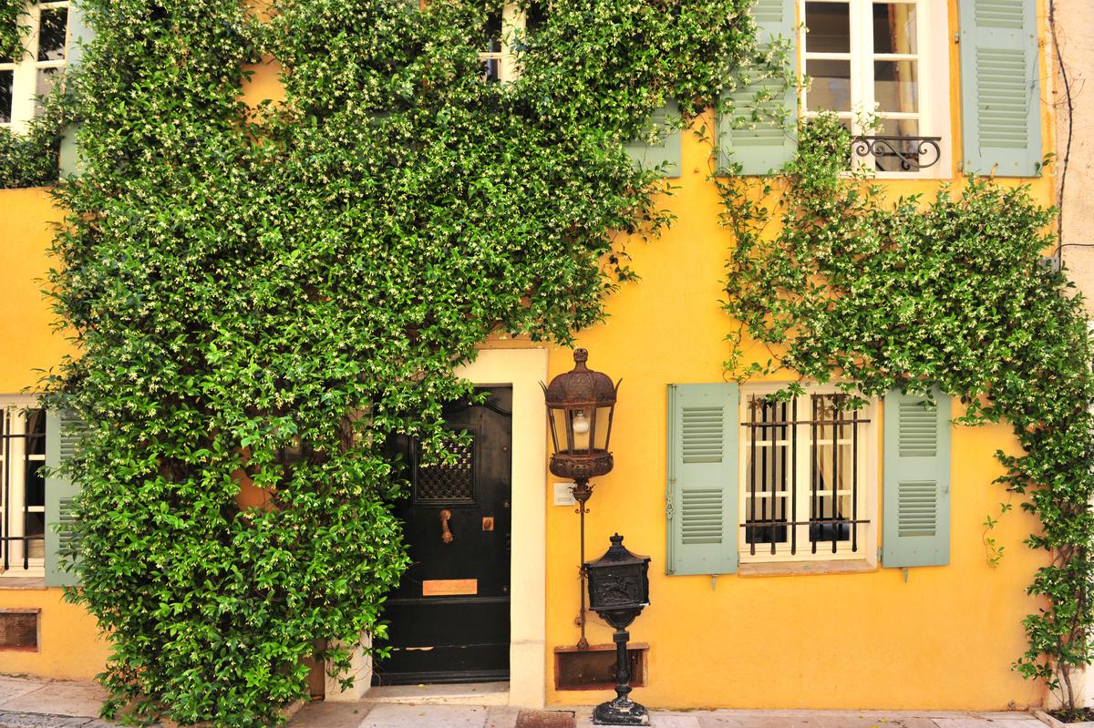 Biophilic decor adds dimension and texture to your home in a very eye-catching fashion.