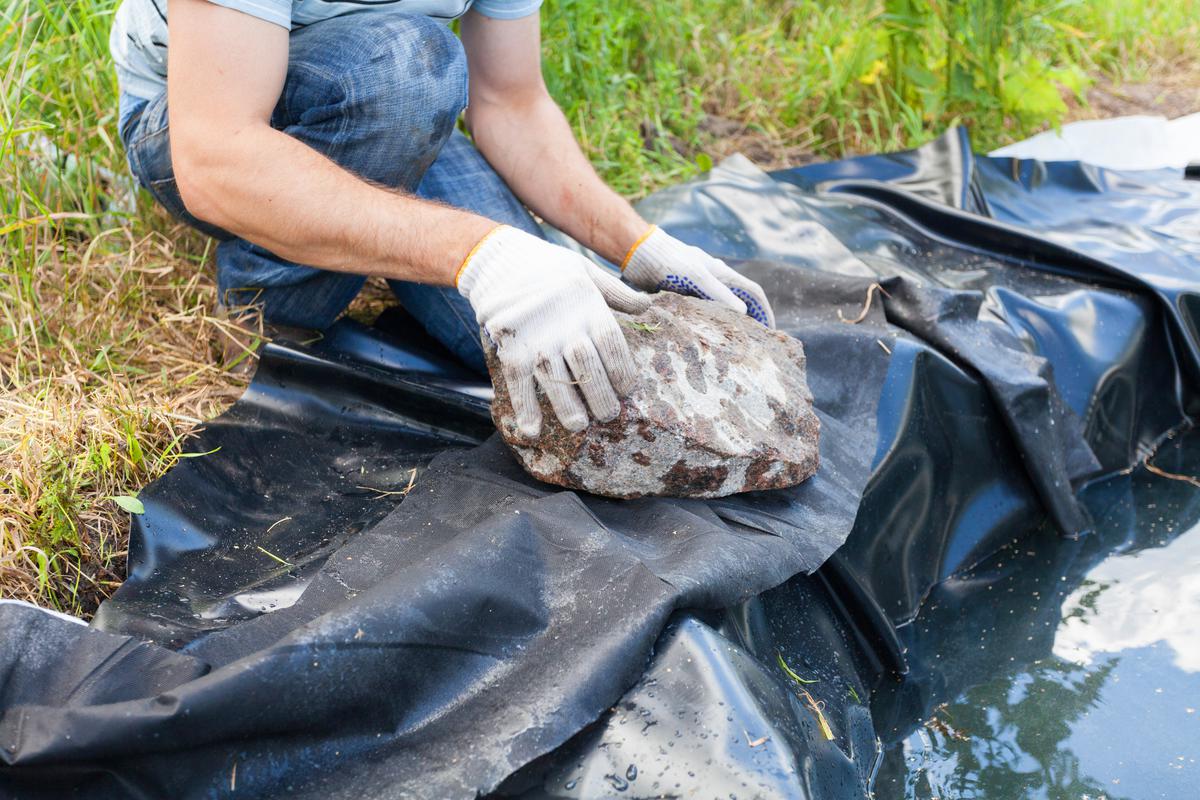 Why You Should Build a Koi Pond In Your Garden