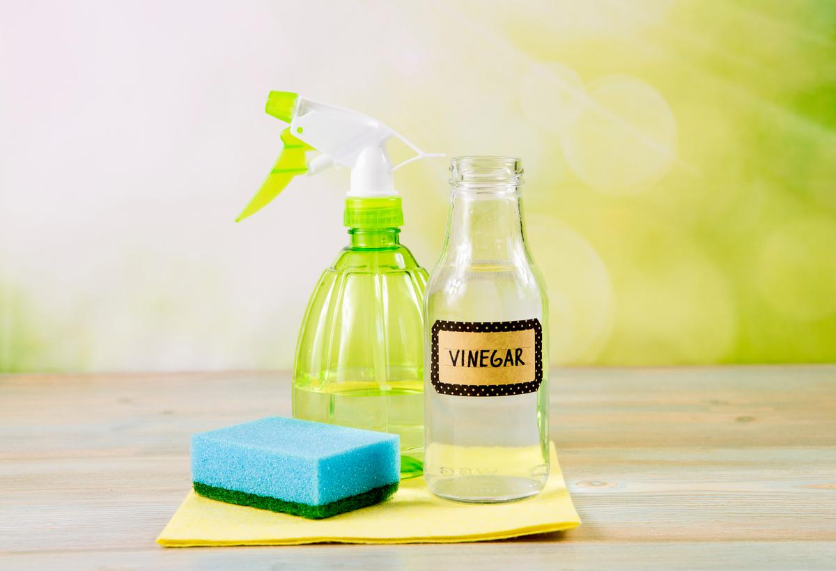A vinegar water mixture is a perfect thing to keep the mold and mildew at bay.