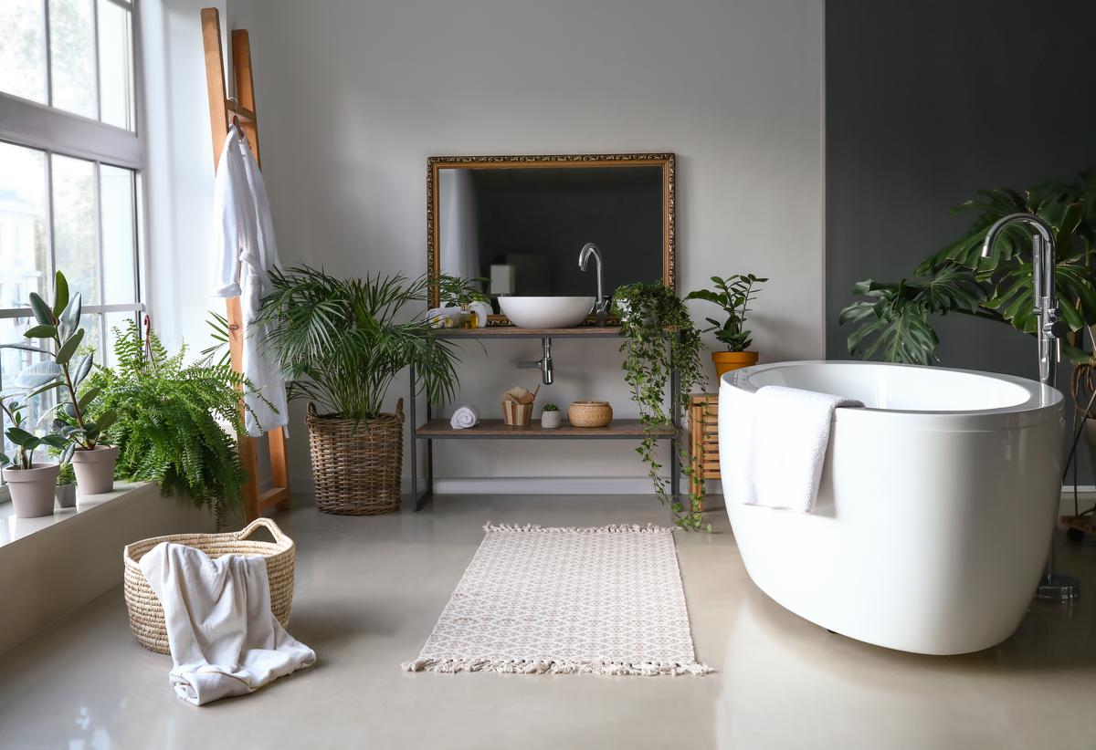 Which Plants to Grow In a Biophilic Bathroom