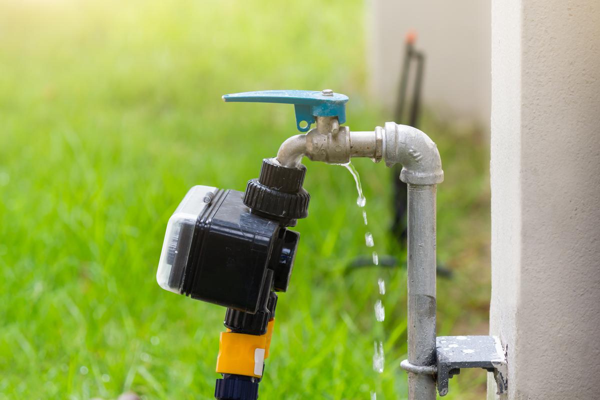 Designing the Irrigation System for Your Interior Garden