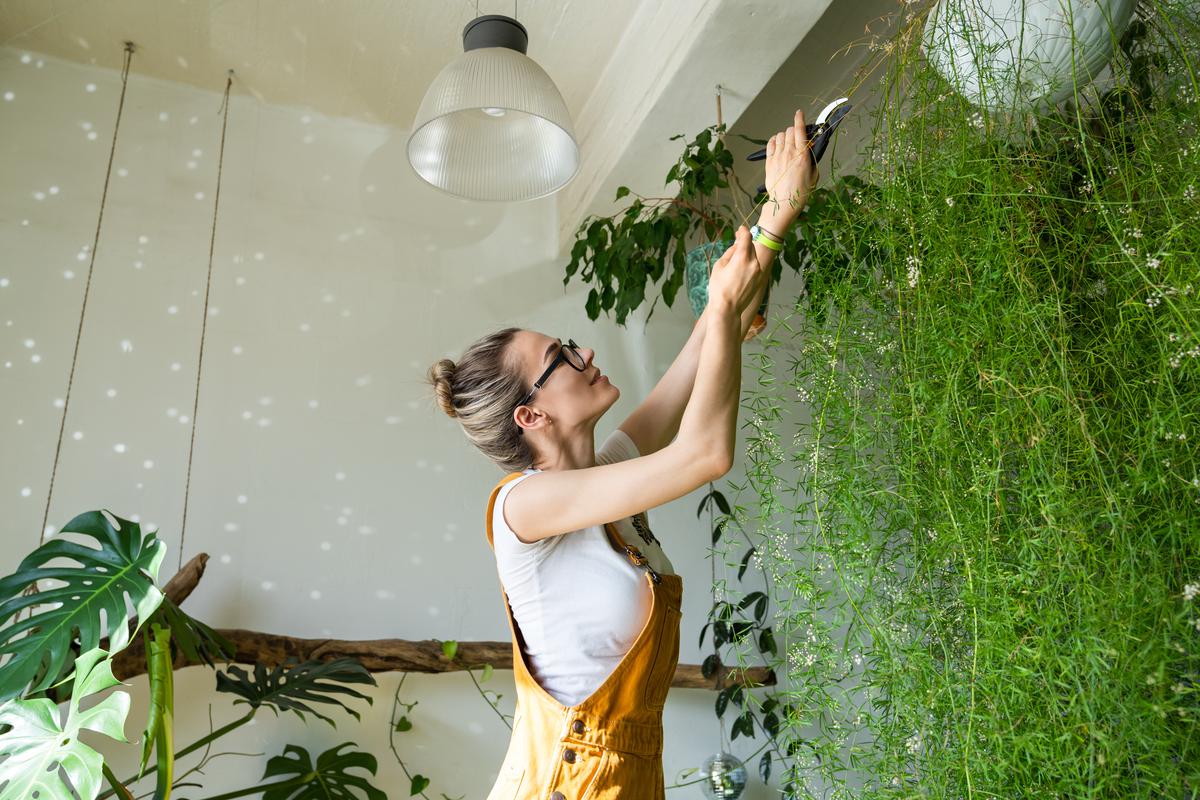 Why You Should Be Growing Your Own Herbs for the Kitchen