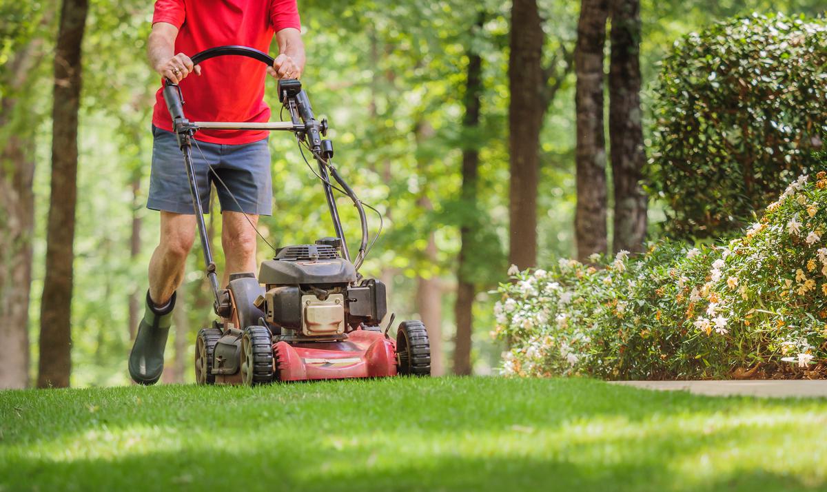 Fundamental Steps of Landscaping and Hardscaping
