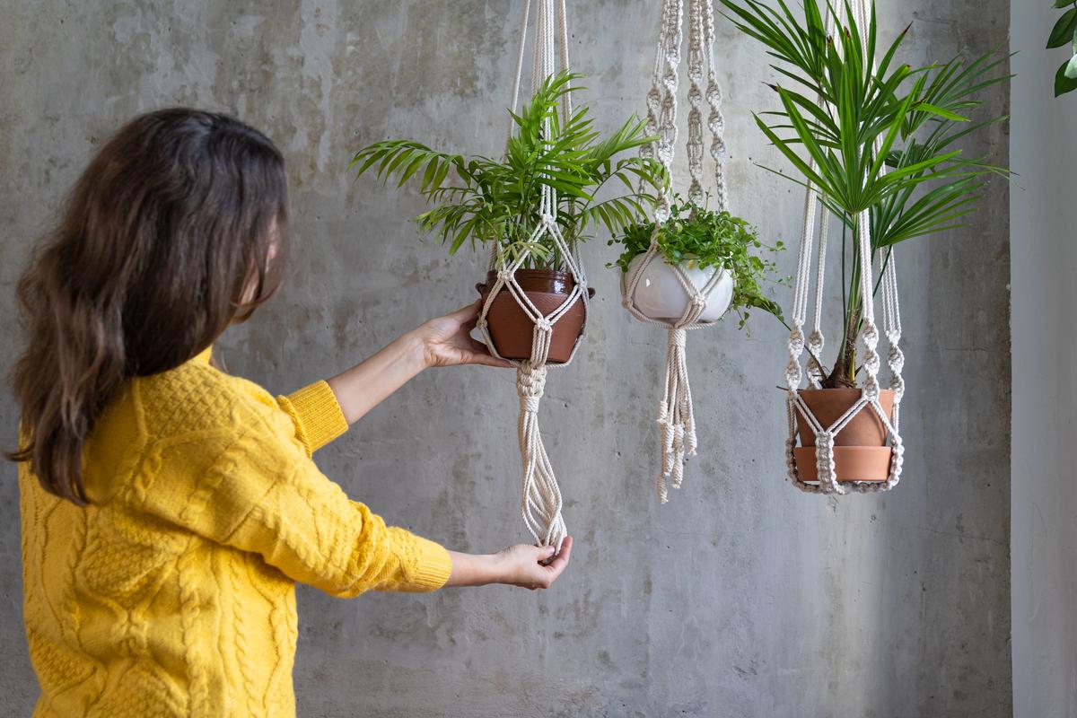 Biophilic Room Designs with Gorgeous Natural Accents