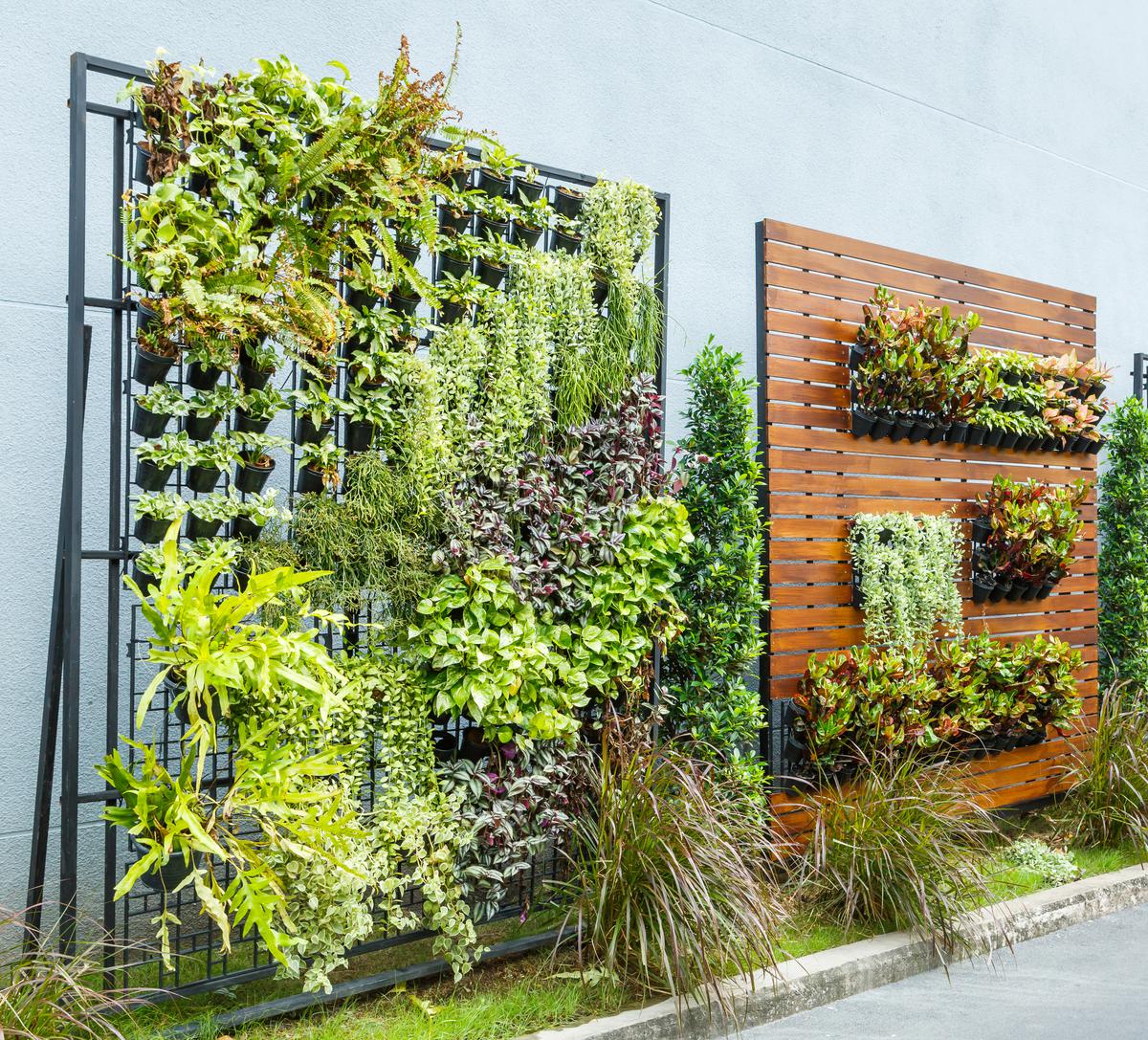 Everything You'll Need to Build a Vertical Garden Wall