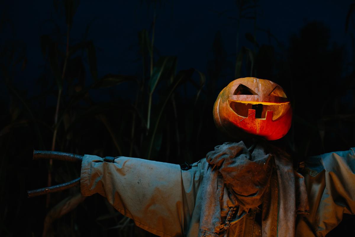 Have a scarecrow lurking in your yard to greet passers-by.