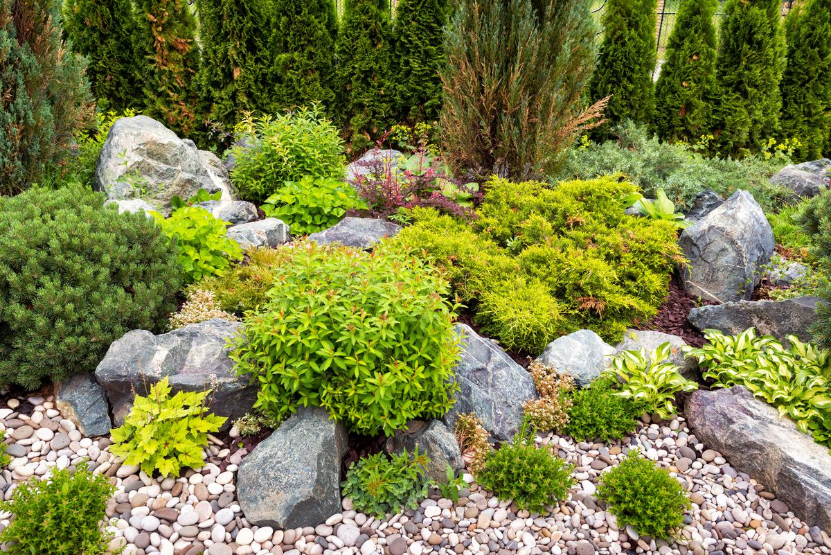 A rock garden costs almost nothing to build and helps fill ugly gaps in your lawn.