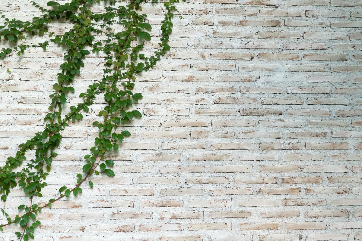 Choosing the Right Accent Wall for Your Living Room