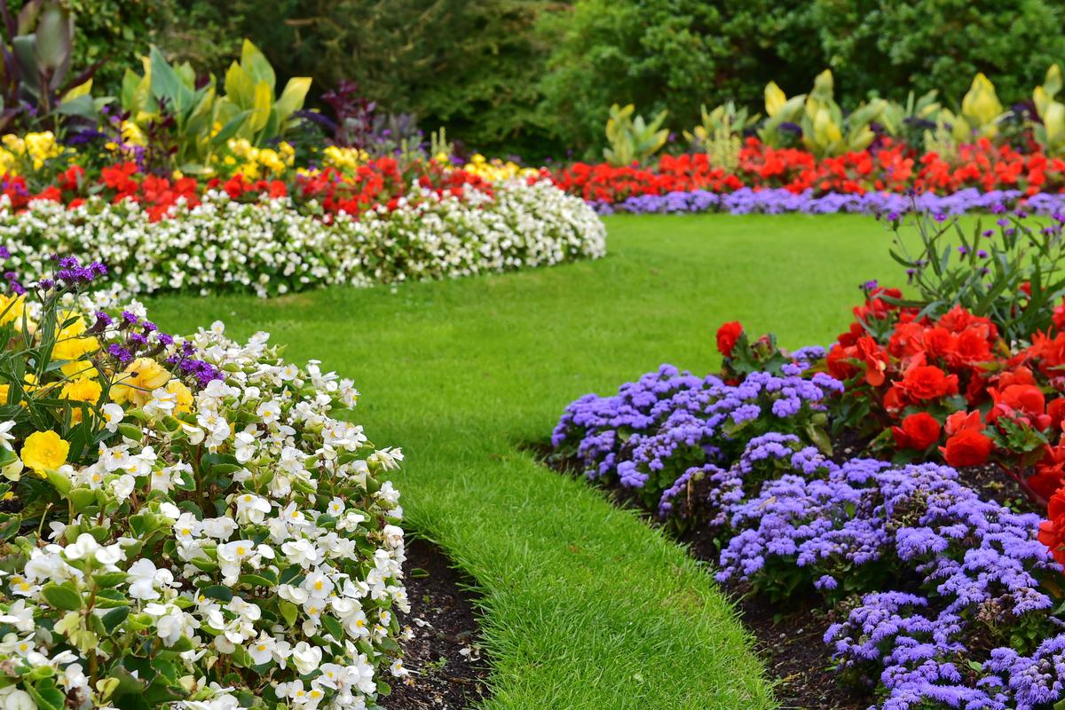 An experienced landscape designer has a good eye for color and knows how to make your lawn pop with beautiful hues.
