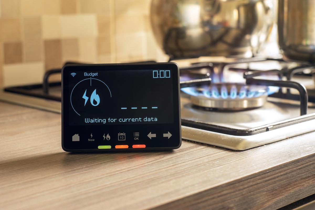 smart meter for gas and electricity