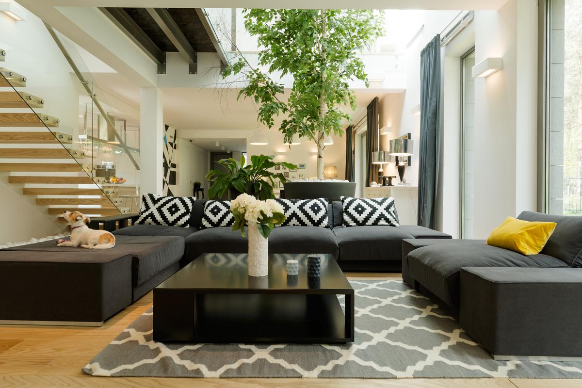 The Art of Lighting In Biophilic Design