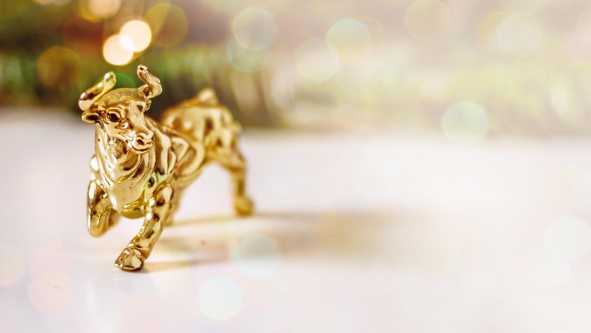 The Year of the Ox and How It Can Affect Your Interior Design