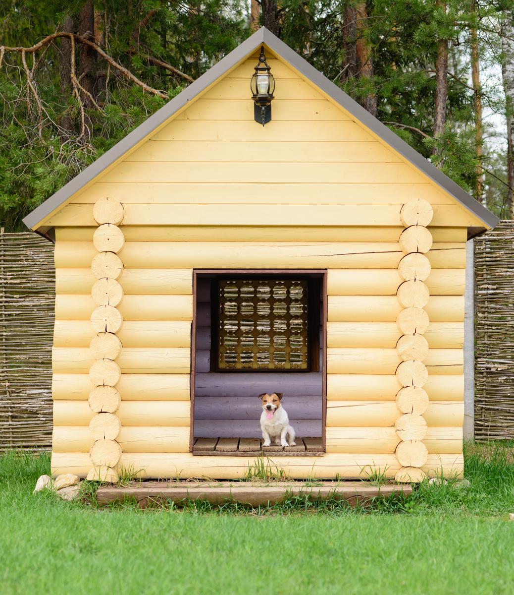 Things to Consider When Building a Doghouse