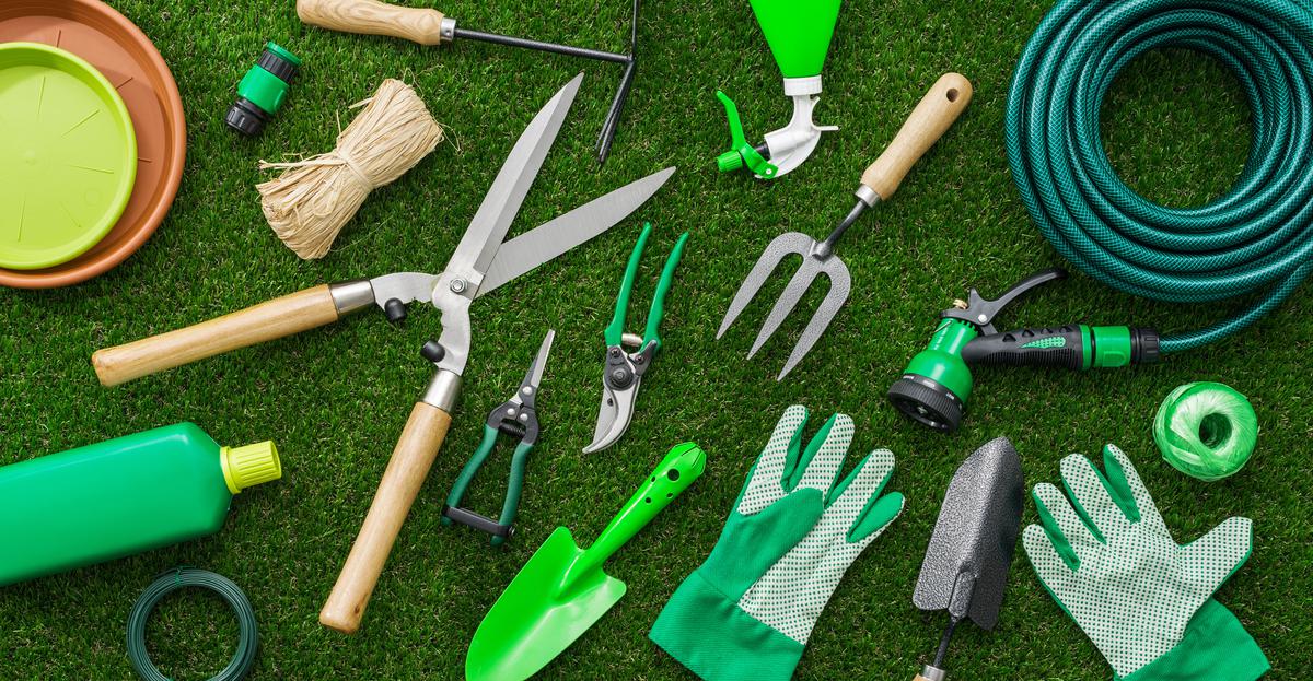 Tools You Need for Beginner Gardening