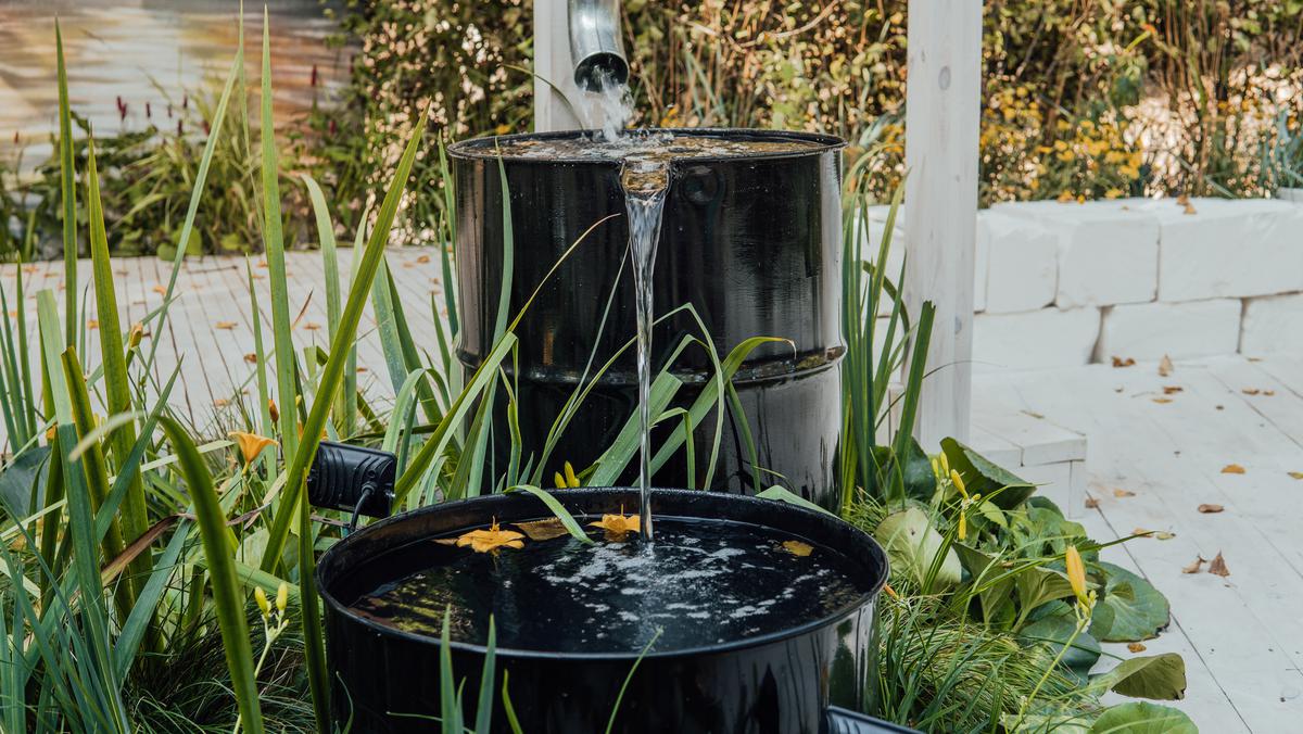 Tropical Microclimate Landscaping Ideas