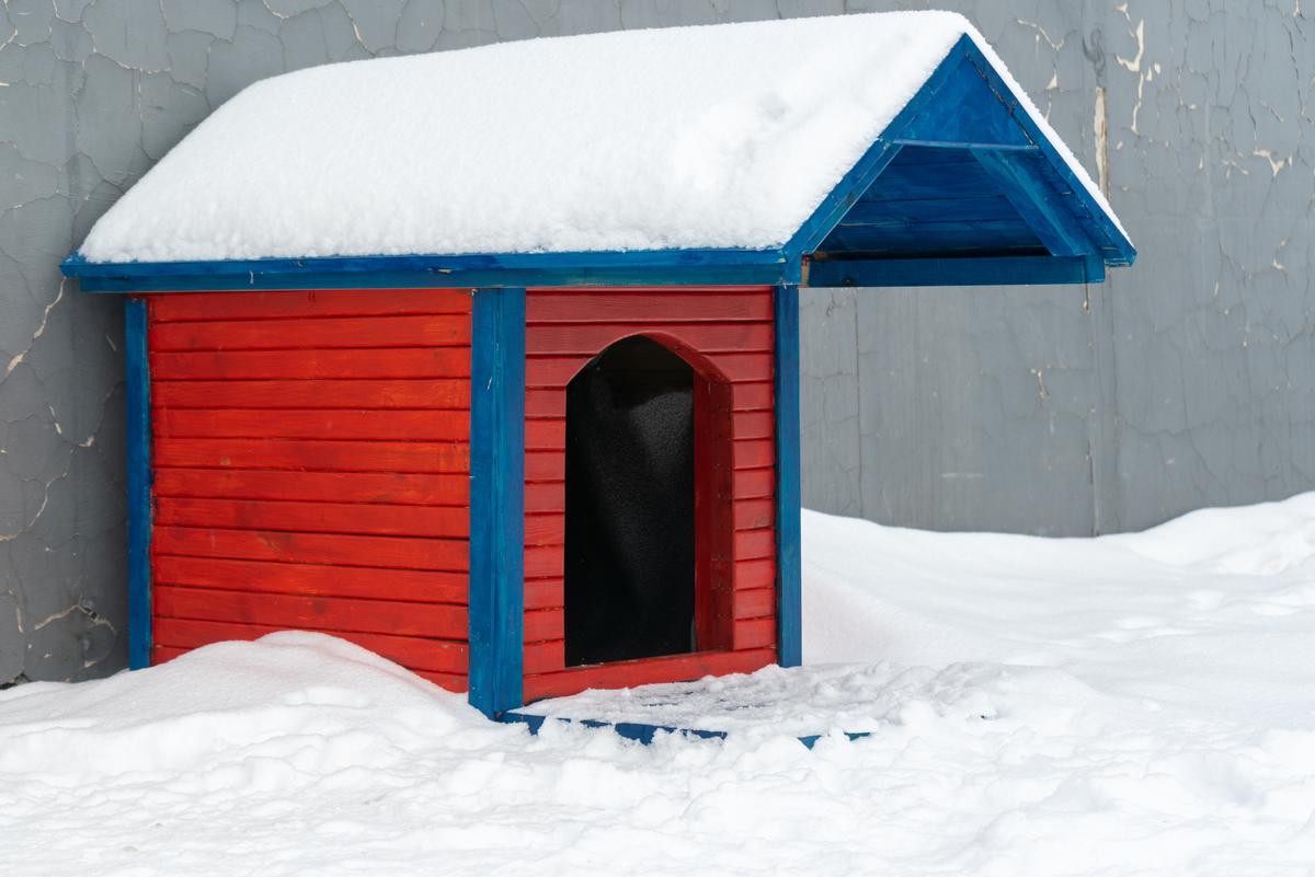 Upgraded Doghouse Design Ideas