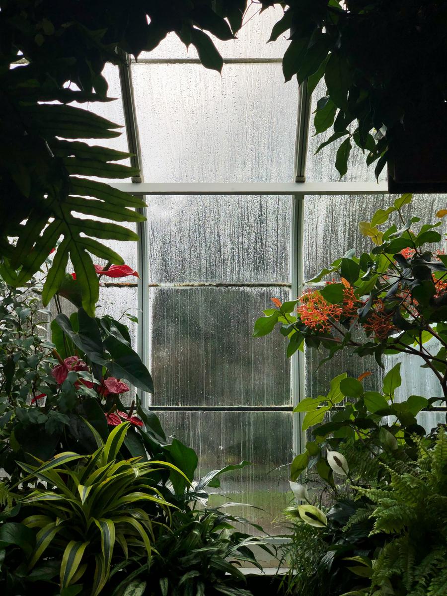 What Materials Should You Use for Your Greenhouse