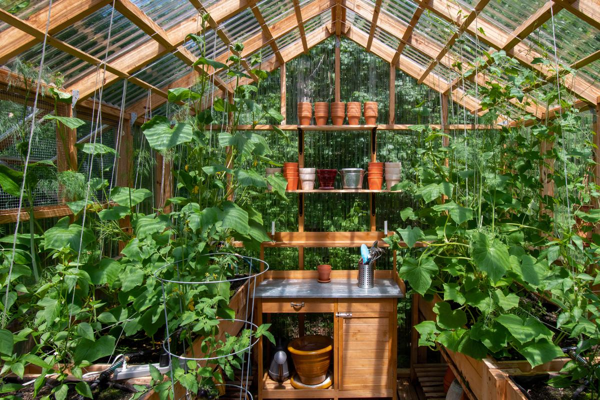 What You Need to Know To Build a Greenhouse