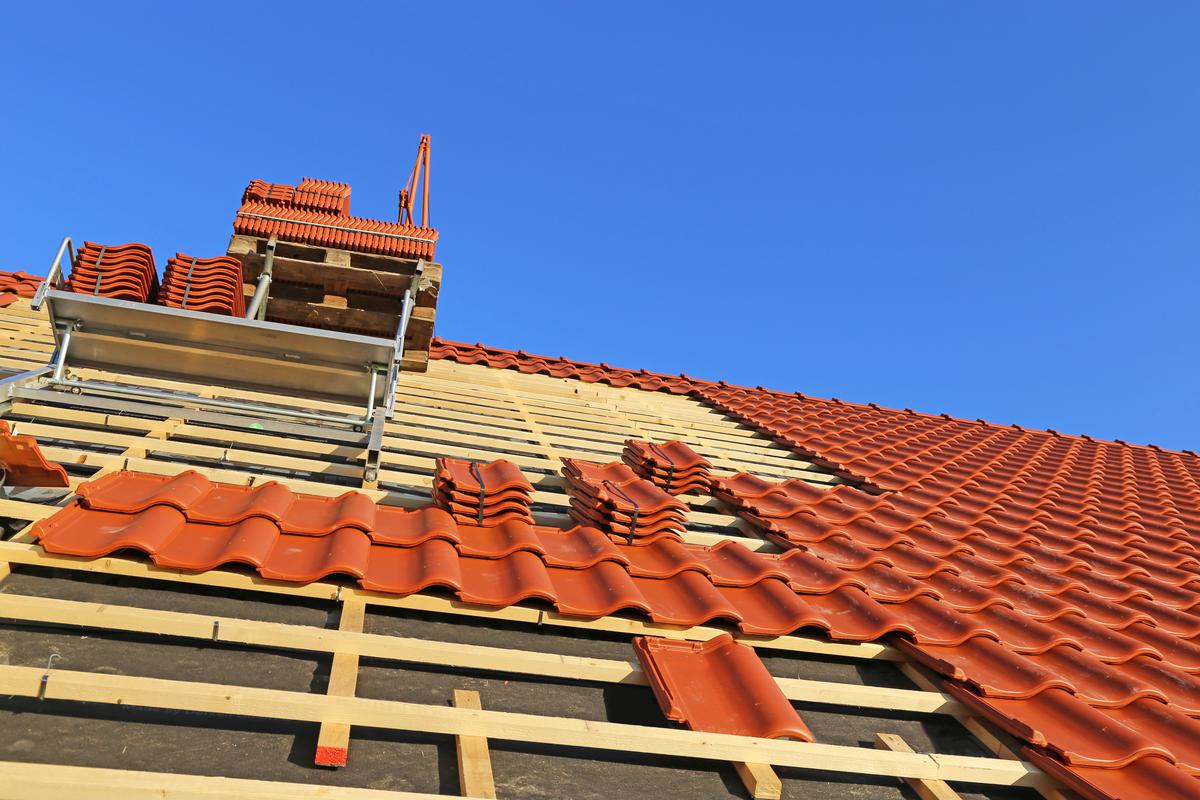 Why You Should Check and Clean Your Shingles