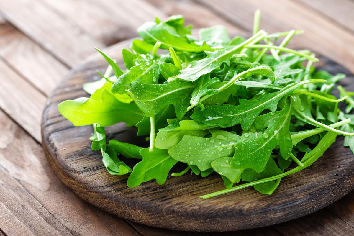 Why You Should Grow Arugula at Home
